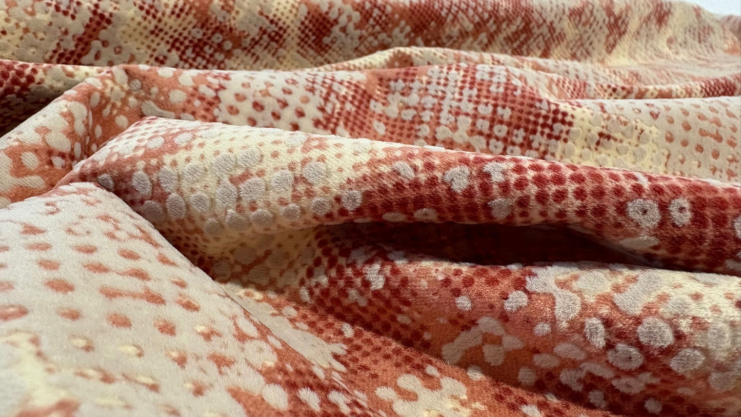 Sandora Rafael 24